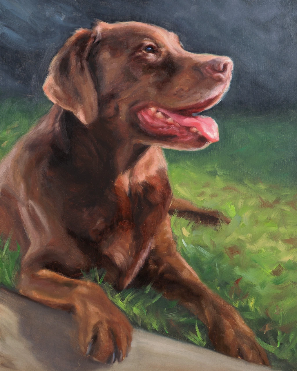 Beau, a chocolate Labrador, painted in oils